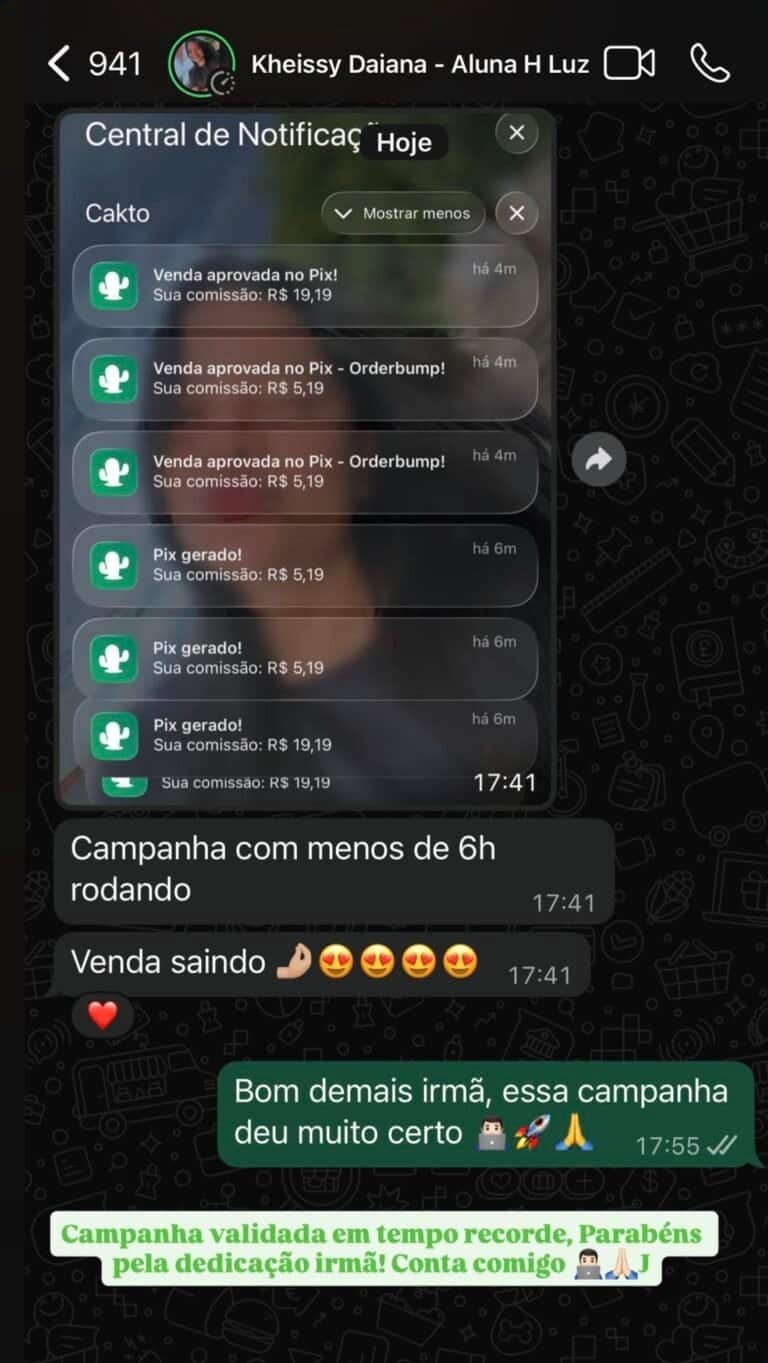 Captura de tela de uma conversa de WhatsApp sobre campanha de vendas e resultados positivos.